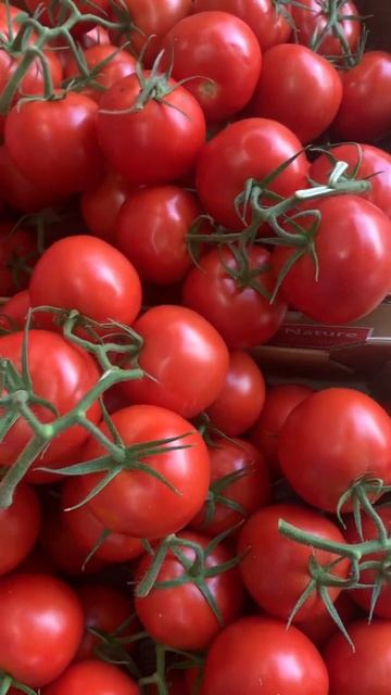 ASMR ☑️ AMAZING BEEFSTEAK TOMATOES #asmr #viral #trending #satisfying #amazing #shorts