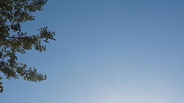 UFO, НЛО ( WHAT A H..L IS IT AT "1,05 minute" UNKNOWN'S LIGHTS!!! )