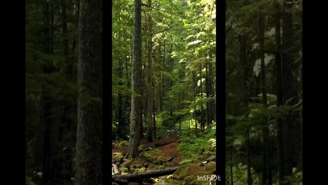 И кричит тишина одиночеством.mp4