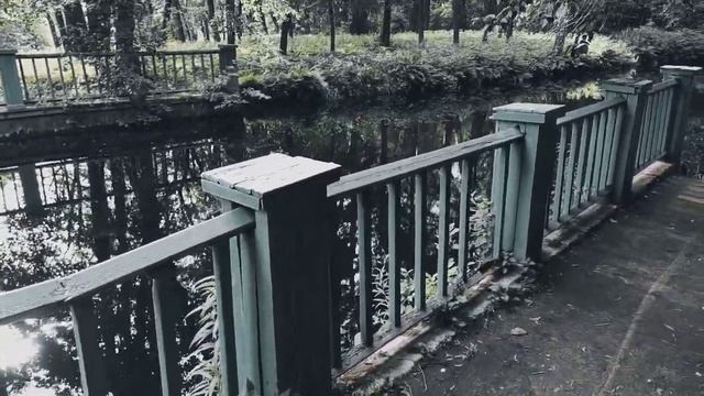 VID 20230708 174940 Играй, мальчуган...(Витезслав Незвал)...Павел Васильев Лахтинский
