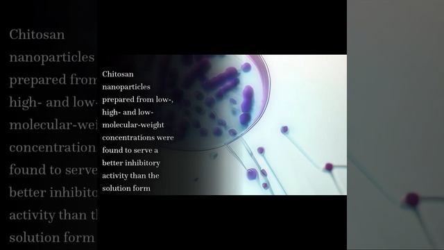 Antifungal Activity of Chitosan Nanoparticles and Correlation with Their Physical Pro... | RTCL.TV