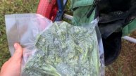 56. Купила дачу в деревне. Урожай грибов на моём участке. Покупки. Готовим дома и на улице