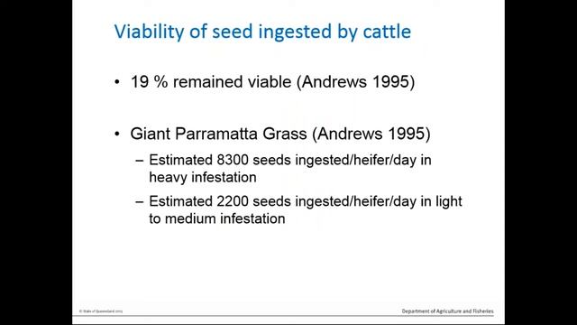 Giant Rats Tail grass fundamentals and insights for management.