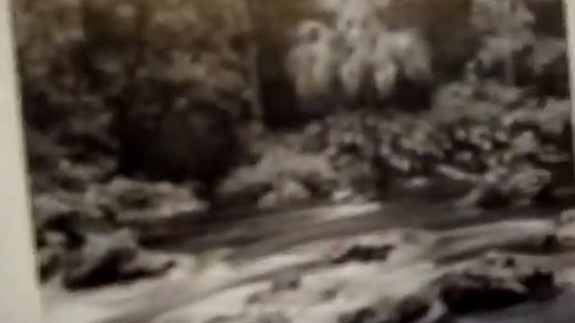Литературный клуб" Слова и звуки".Читает Т.А.Коваль