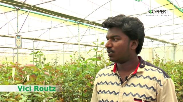 Vici Routz Biofertilizer by Koppert Biological Systems India