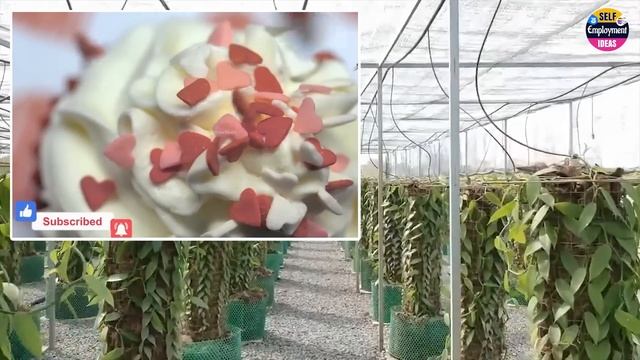 కోట్లలలో ఆదాయం వచ్చే,  కొత్త సాగు | New farming business ideas 2023 in telugu @TeluguSelfEmployment