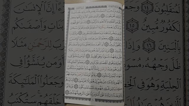 43сура -13аят Украшения