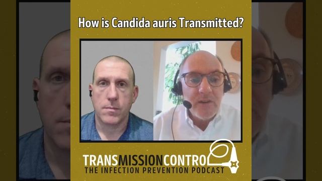 Candida auris: Modes of Transmission