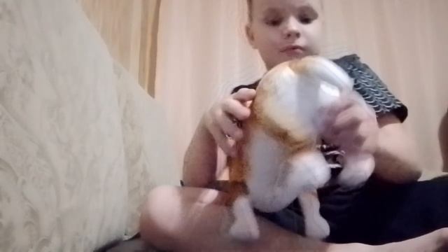 ??Где секретная кнопка??