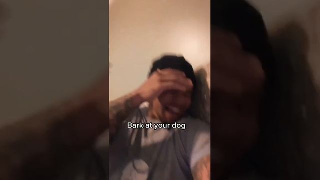 реакция собаки