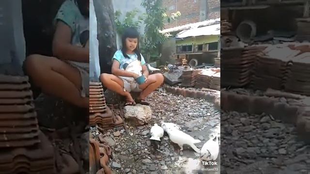 putri olivia SDN wonokusumo 5 no 44 surabaya kasih makan burung merpati