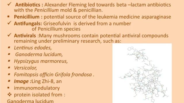 INDUSTERIALIMPORTANCE  OF FUNGI