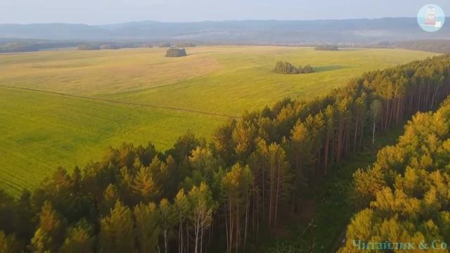 ...Буває, часом сліпну від краси / It happens, sometimes I'm blinded by beauty – Ліна Костенко