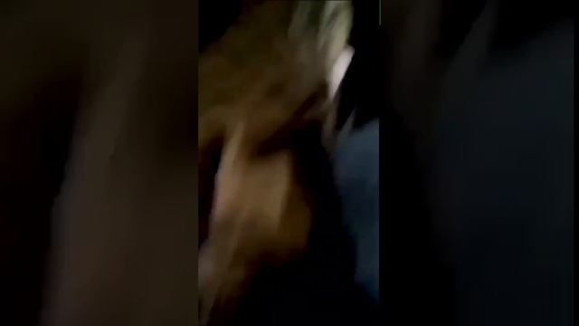 #ПравдаВагнера
