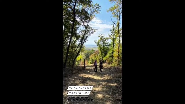 Alla scoperta della Toscana Truffle Experience di Savini Tartufi e il noleggio camper Caravanbacci