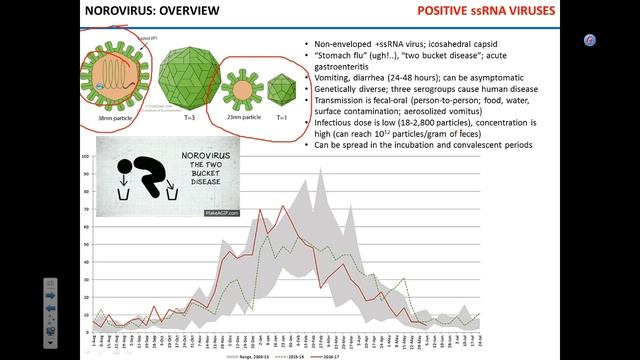 Virus infections 2