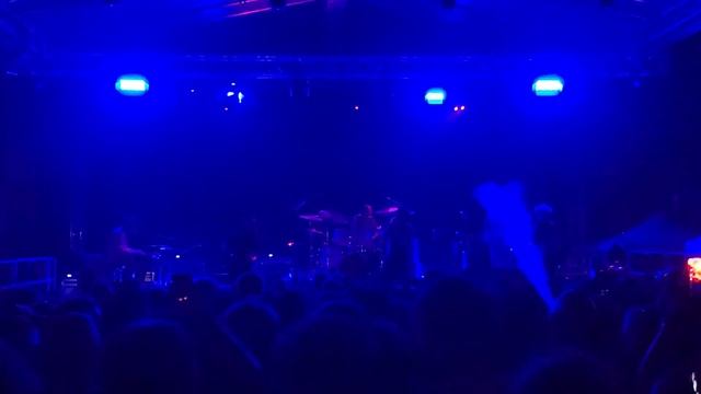 the voidz - business dog (live in Bologna)