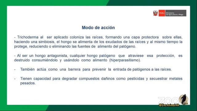 Instituto E.A.AR – Control biológico de plagas agrícolas en cultivos de importancia económica