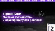 Новый уровень безумия на Украине: ТЦК сбивают мужчин на дороге и «пакуют» раненых в «бус»