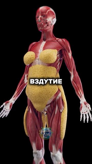 Полезные сочетания продуктов