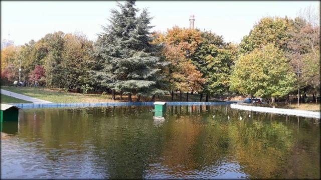 Счастье всегда рядом