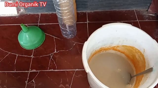 Cara Membuat MOL Nasi Basi - Alternatif Pengganti EM4