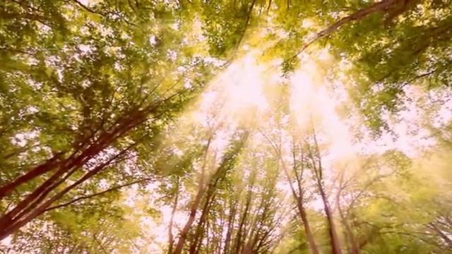 ПОЭЗИЯ. Назерке Түсіпбекова  "Алғашқы көктем Егіндібұлақта."