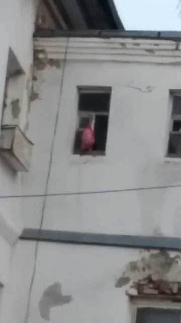 Самый дешёвый холодильник