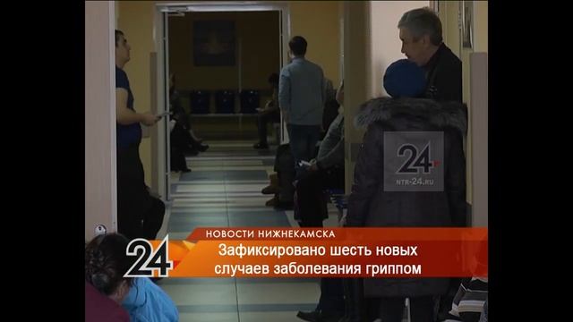 У двоих нижнекамцев выявлен свиной грипп