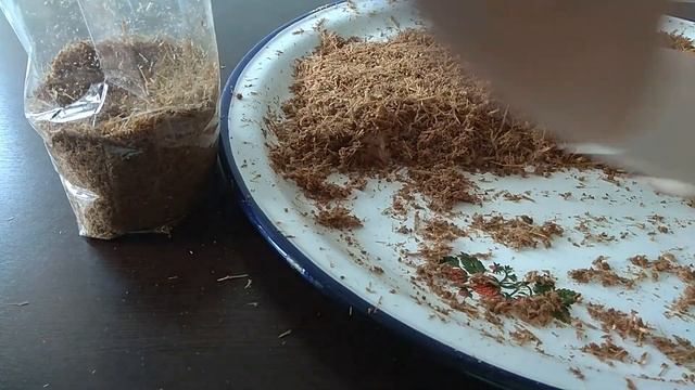 How to grow oyster mushrooms at home , Oyster Mushroom Cultivation with Fuel Pellets and Straw