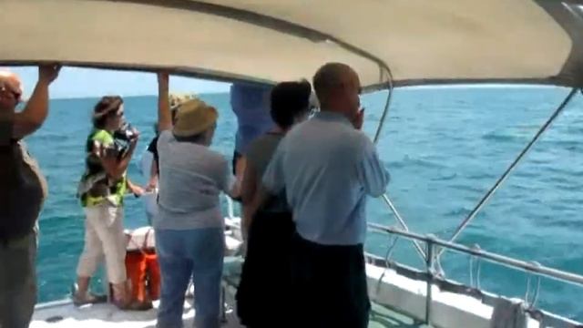 Burial at Sea - Clearwater Florida