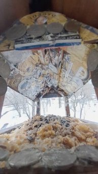 1000038079.mp4жизнь кормушки.03.02.2025г.