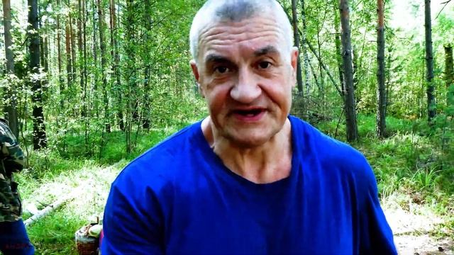 ГРИБЫ 2019  - 2