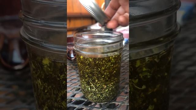 Cómo hacer aceite de orégano