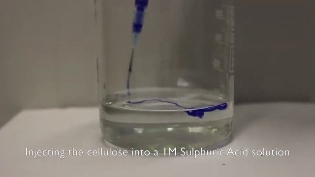 Cellulose experiment