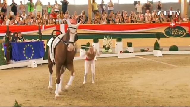 FEI European Vaulting Championships 2013 - Individual Senior Female - Top 3