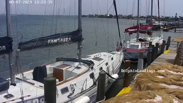 Dolphin Landings Charter Boat Center Live Stream