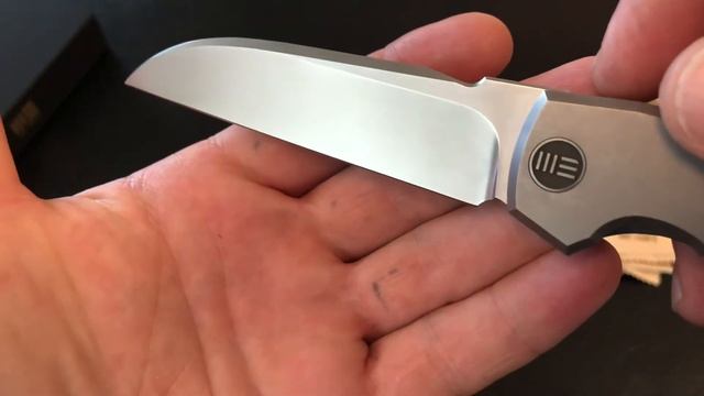 WE Knife Wasabi Overview