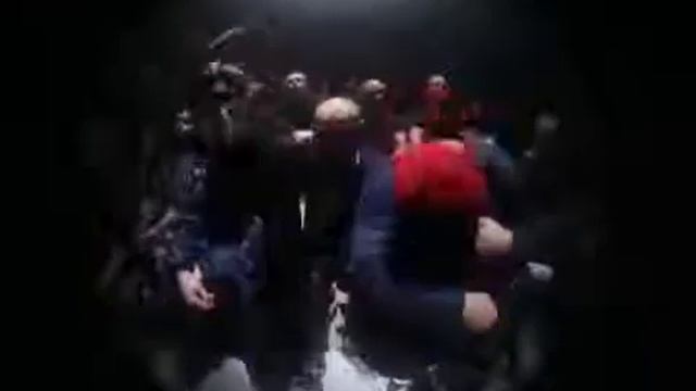 Грибы-копы