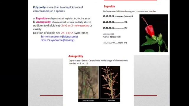 Cytology