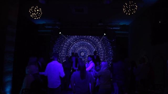 Свадебный ведущий - Александр Антонов