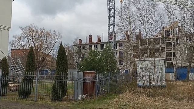 Video.Guru_20250203_075438289
