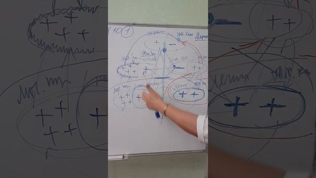 У-СИН, продолжение.