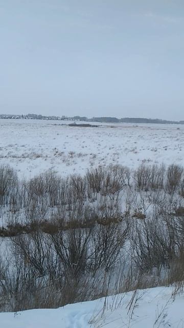 Прокудское р Чик где снимался Горячий снег ракурс 1 - на ютюб не загрузилось - 3 МБ из 90 за 12 ч