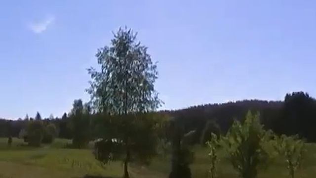 Сома  Мухомор  Опыт традиционного познания 9 9 9 1