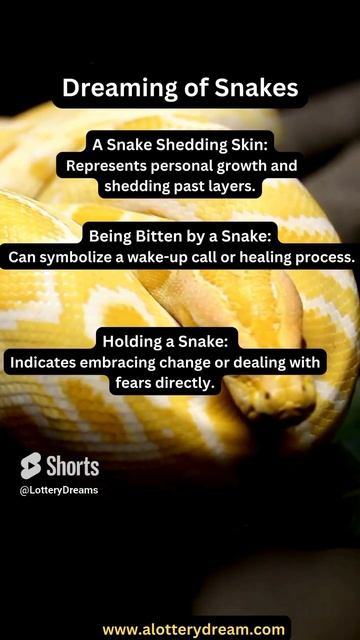 🐍 Dreaming about snakes? 🐍 #SnakeDreams #SubconsciousSerpents #DreamSymbols