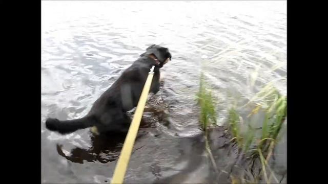 Ваня. Лес. Сыроежка. Озеро