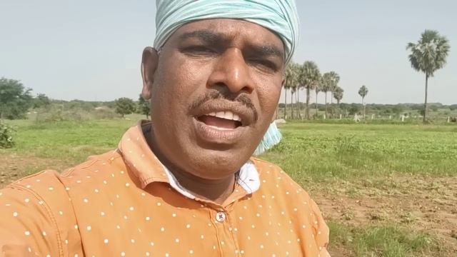 HARSHA SAI CHEETING IN PUBLIC | GUNTI NAGARAJU