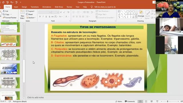 Fungos e protozoários em 24 de março de 2021