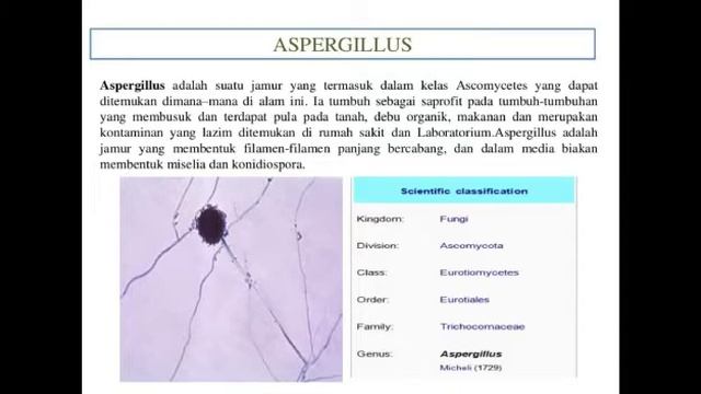 Tugas kelompok mikrobiologi